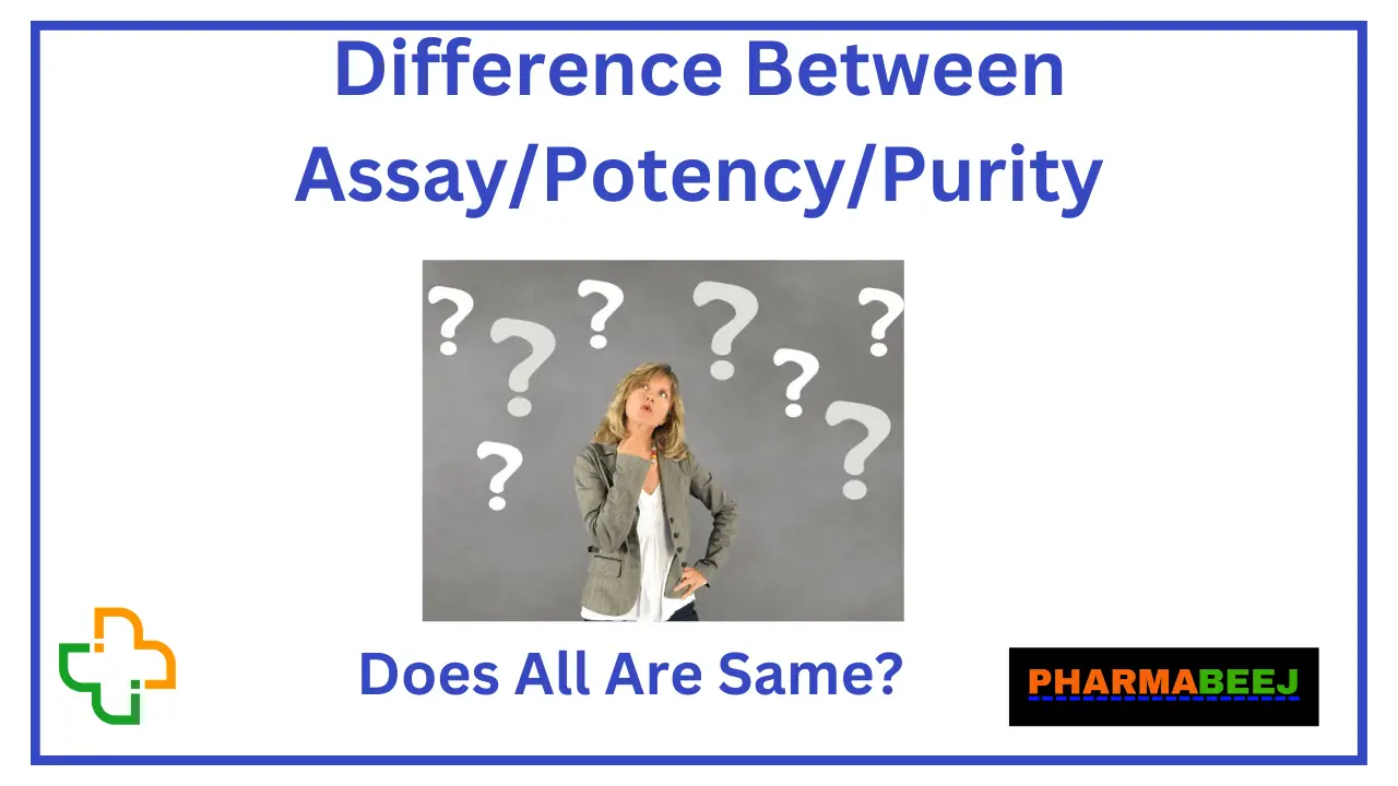 Difference between assay potency and purity