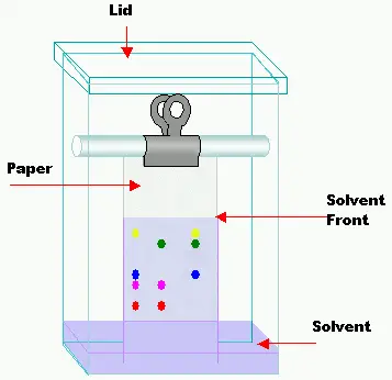 Thin Layer Chromatography Interview Questions